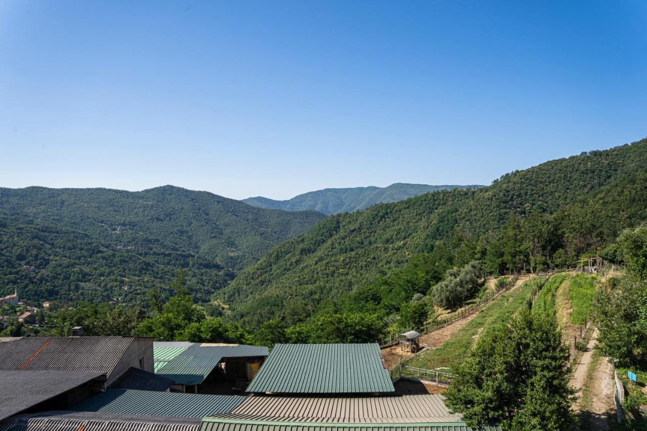 01234 - Agriturismo La Marpea, Esperienza In Mezzo Alla Natura E Al Cibo Tipico Italiano Villa Terisso Eksteriør bilde